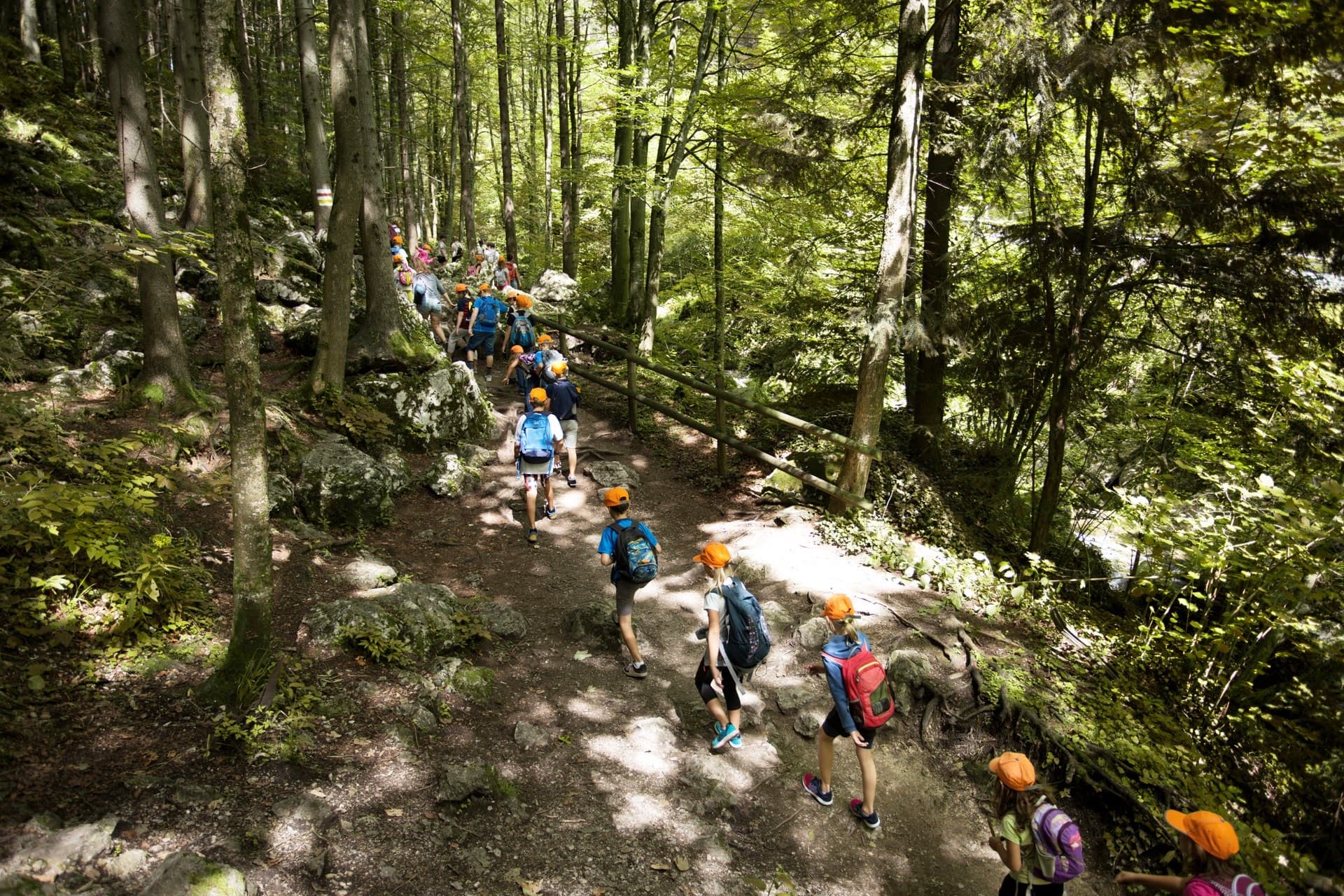 Students hiking single file through the forest on a school trip