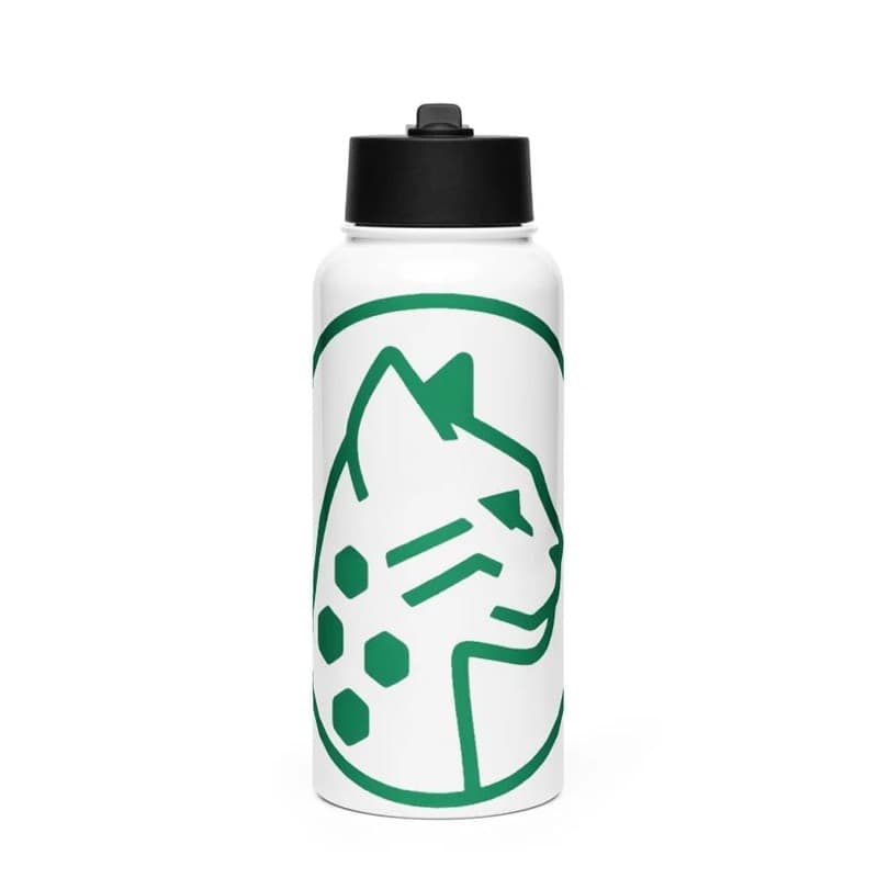 Stainless Steel Water Bottle with the Valor Heights Bengal crest